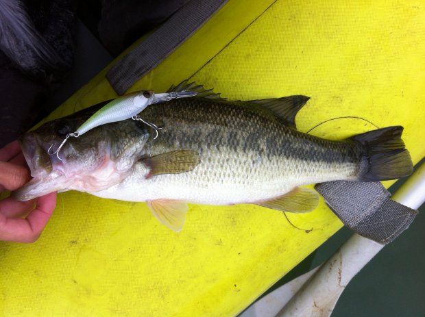 中筋川 バス ソウルシャッド68SP 40cm