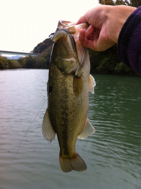 中筋川 バス スピンドル 46cm