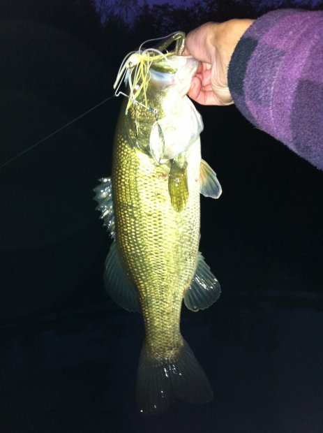 中筋川 バス 43cm