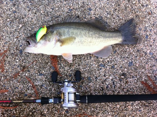 山陽公園池 ブラックバス 41cm レベルバイブ