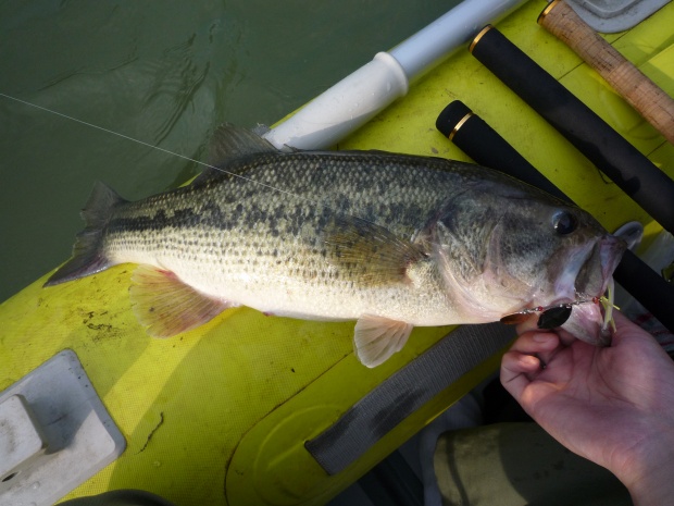 野村ダム ブラックバス