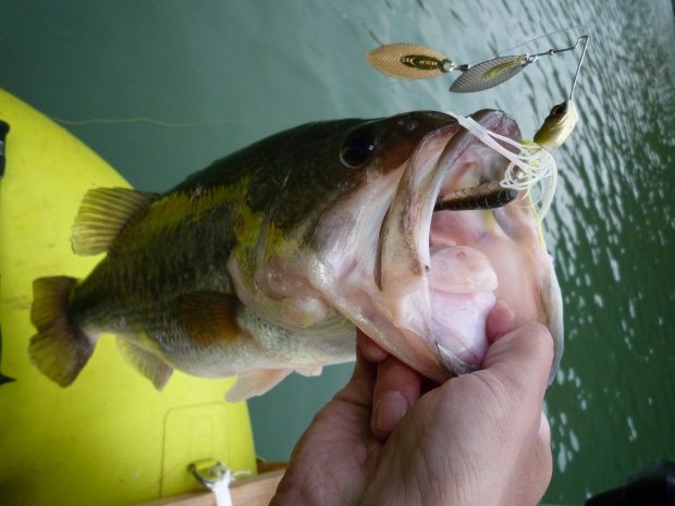 野村ダム ブラックバス