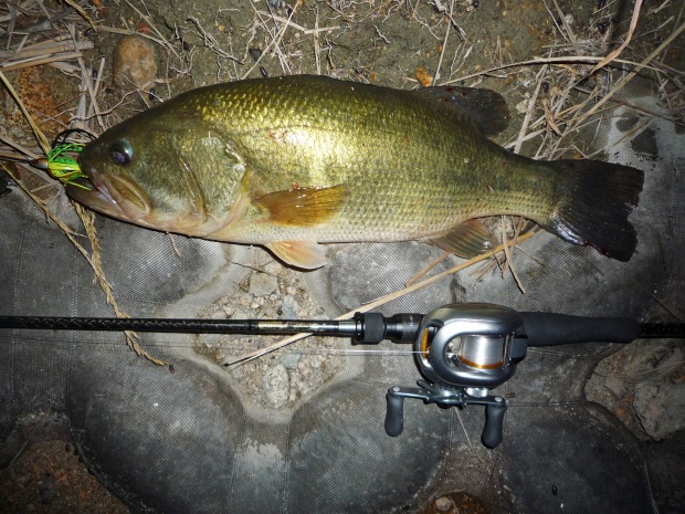 七区 ブラックバス