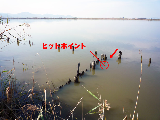 ヒットポイント