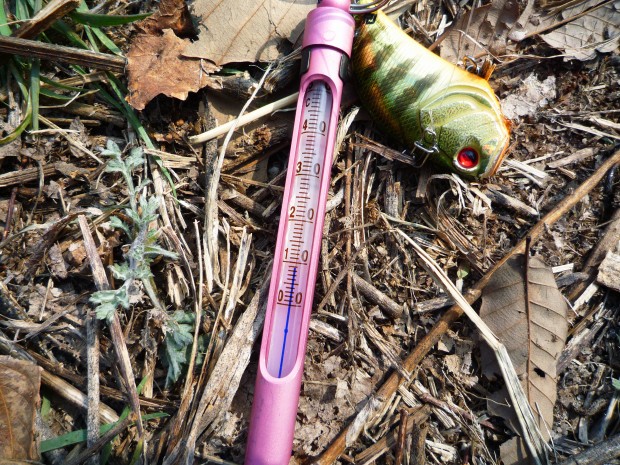 水温系&レベルバイブ