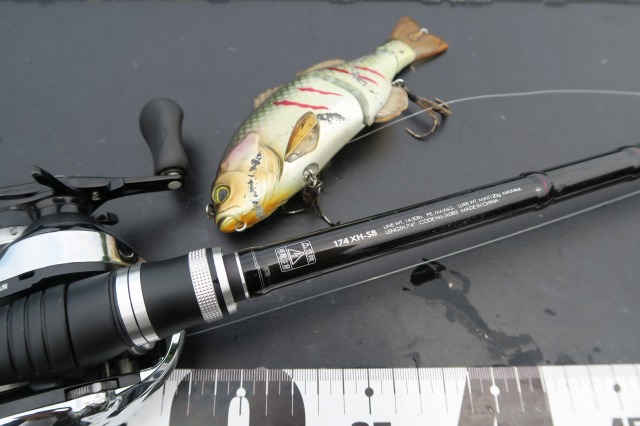 ポイズンアドレナ174XH-SB