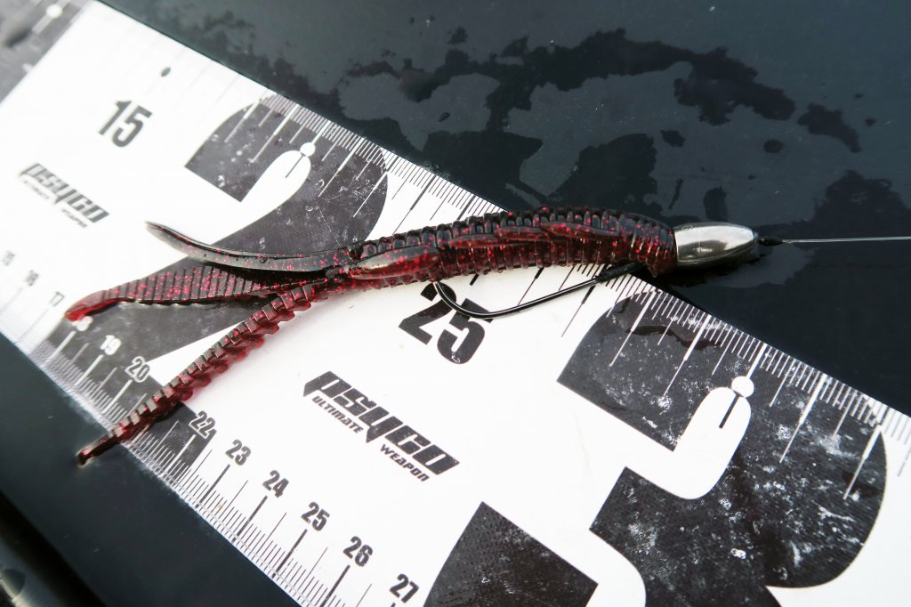 OSPドライブシュリンプ