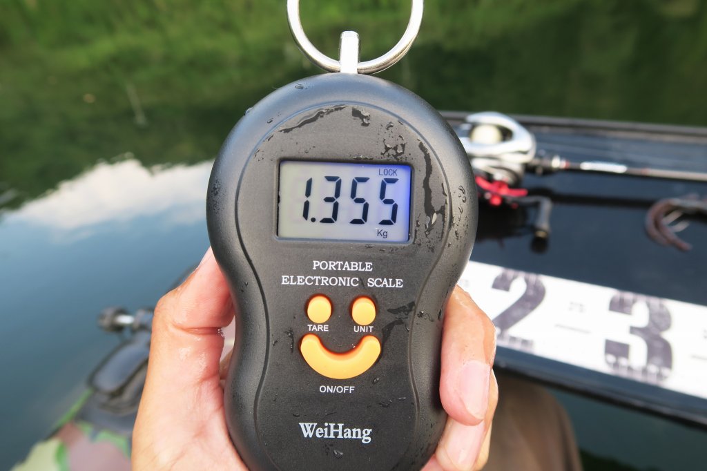 デジタルスケール