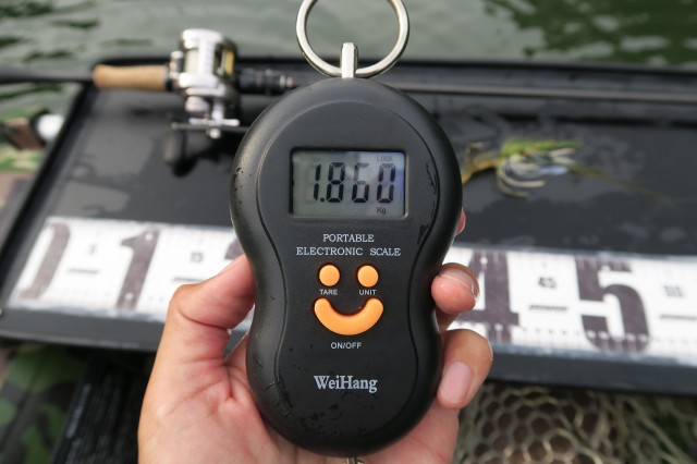 デジタルスケール