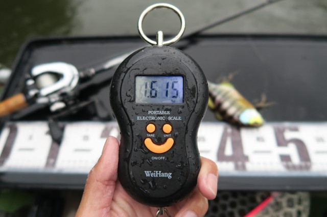 デジタルスケール