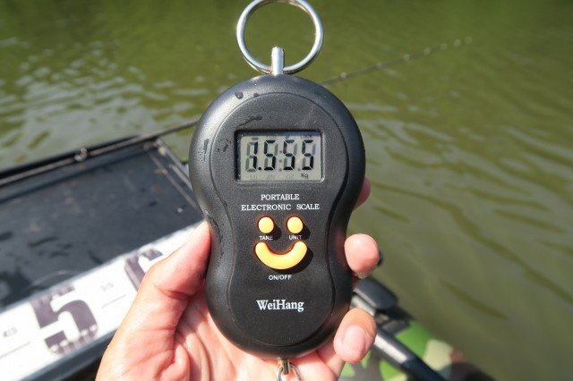 デジタルスケール