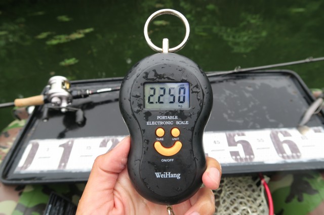 デジタルスケール