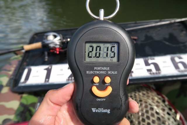 デジタルスケール