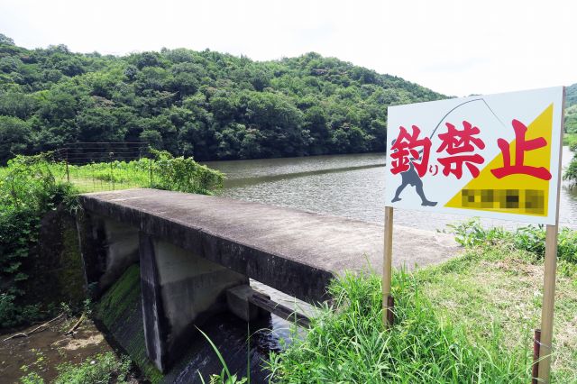 釣り禁止の野池