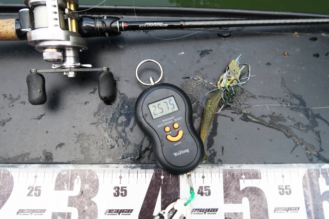 デジタルスケール