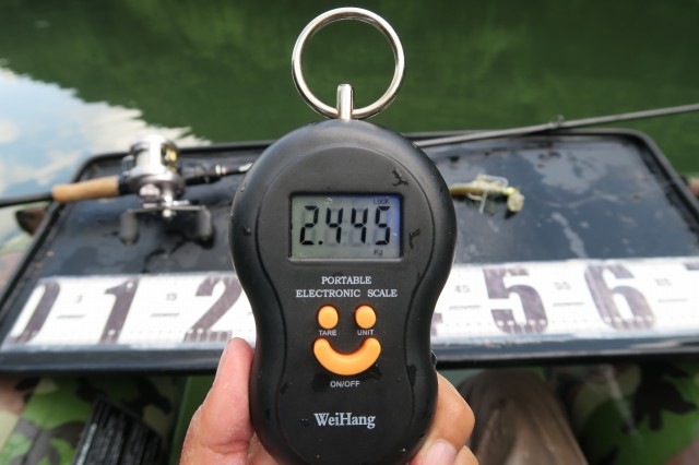 デジタルスケール