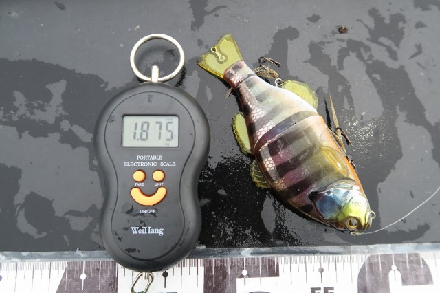 デジタルスケール