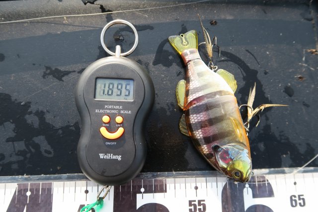 デジタルスケール・ガンタレル