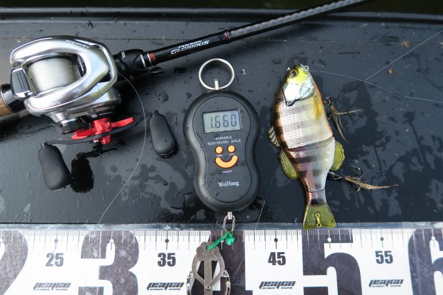 デジタルスケール・ガンタレル