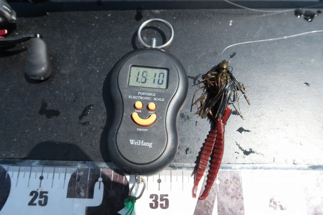 デジタルスケール