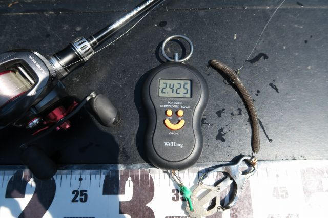 デジタルスケール