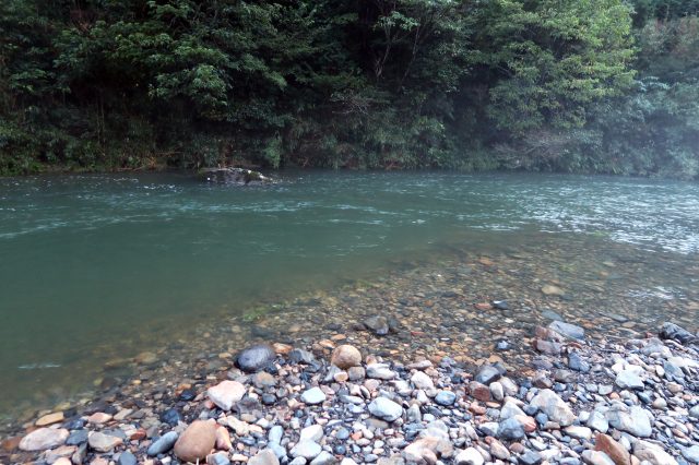 バックウォーター