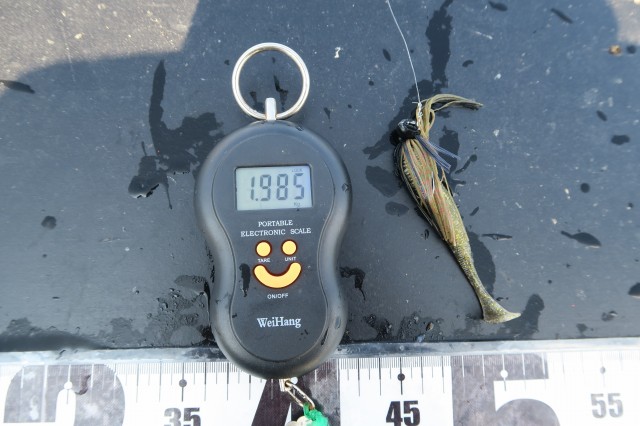 デジタルスケール