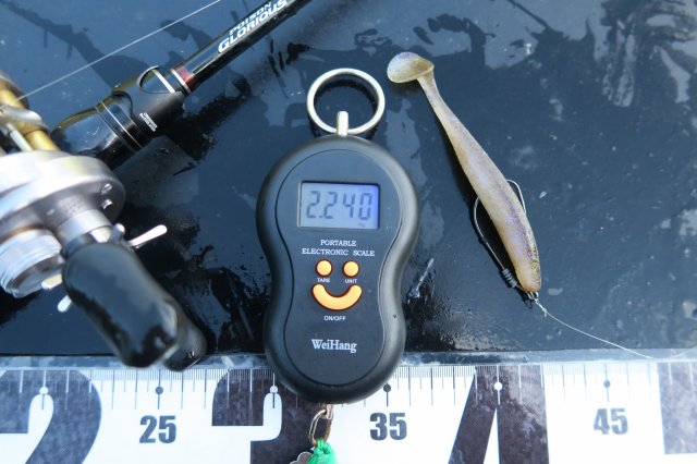 デジタルスケール