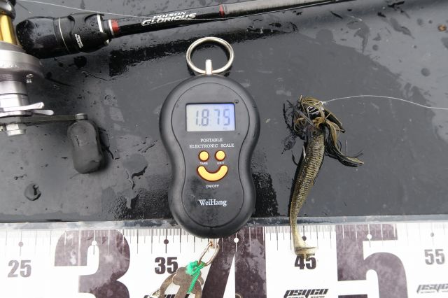 デジタルスケール