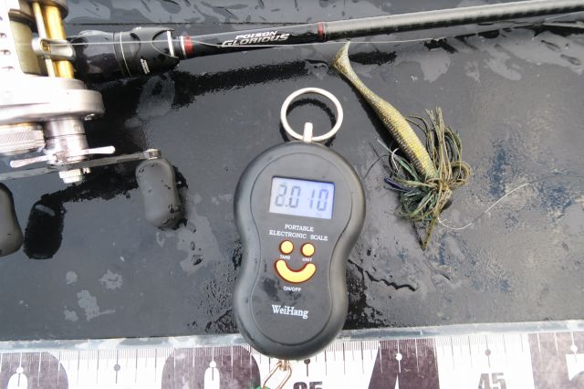 デジタルスケール