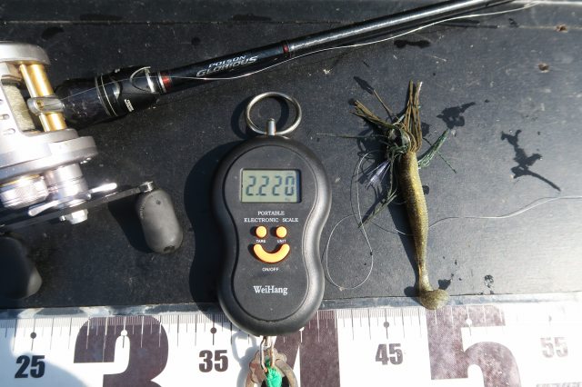 デジタルスケール