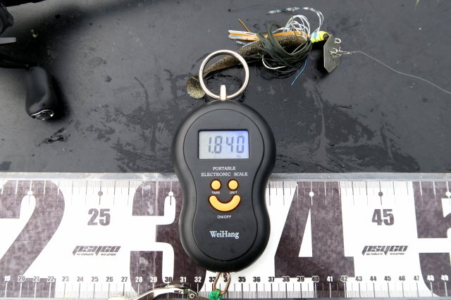 デジタルスケール