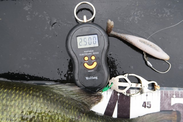 デジタルスケール