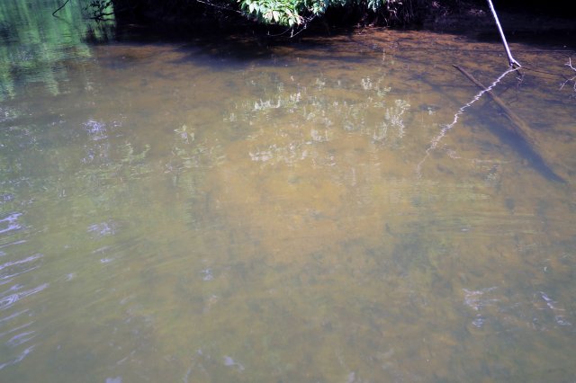 スポーニングベッド