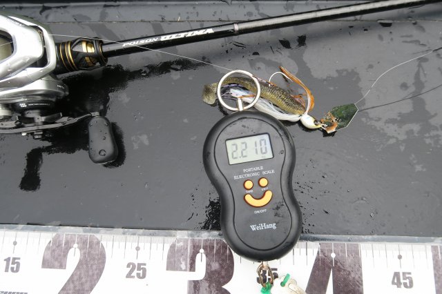 デジタルスケール