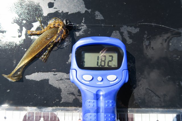 デジタルスケール