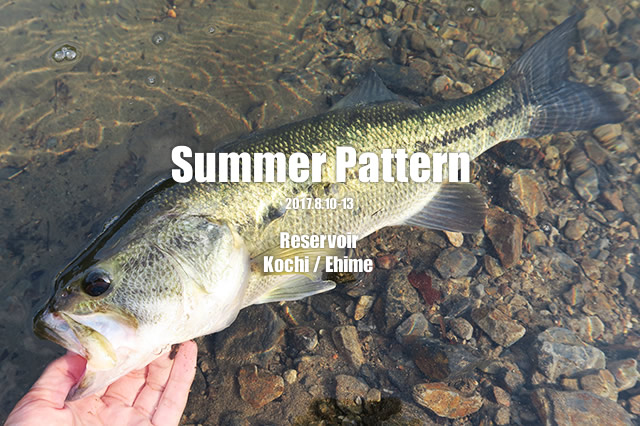 Summer Pattern 2017