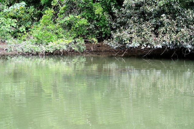 ストラクチャー