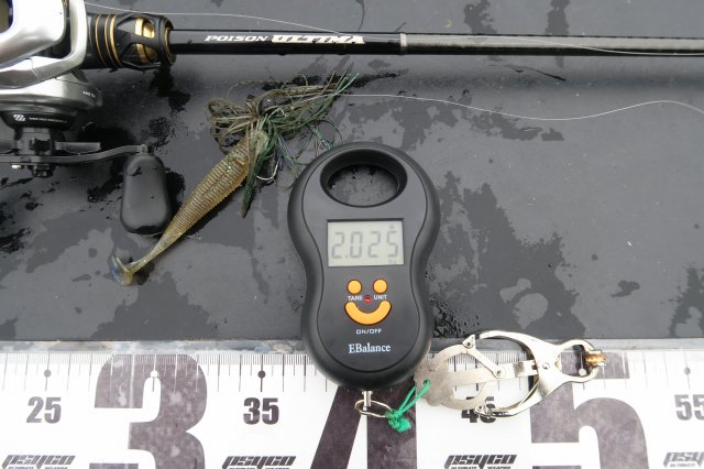 デジタルスケール