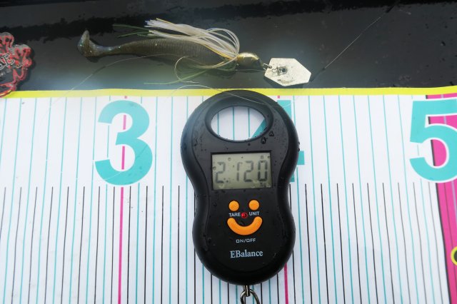 デジタルスケール