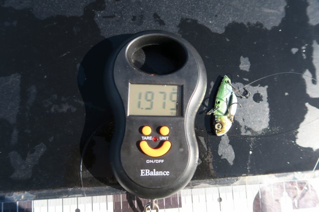 デジタルスケール