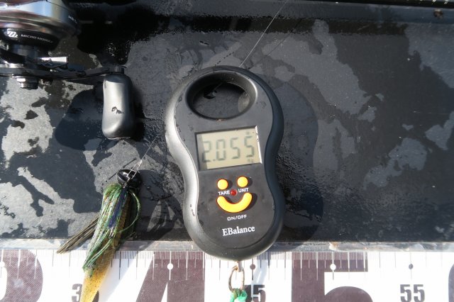 デジタルスケール