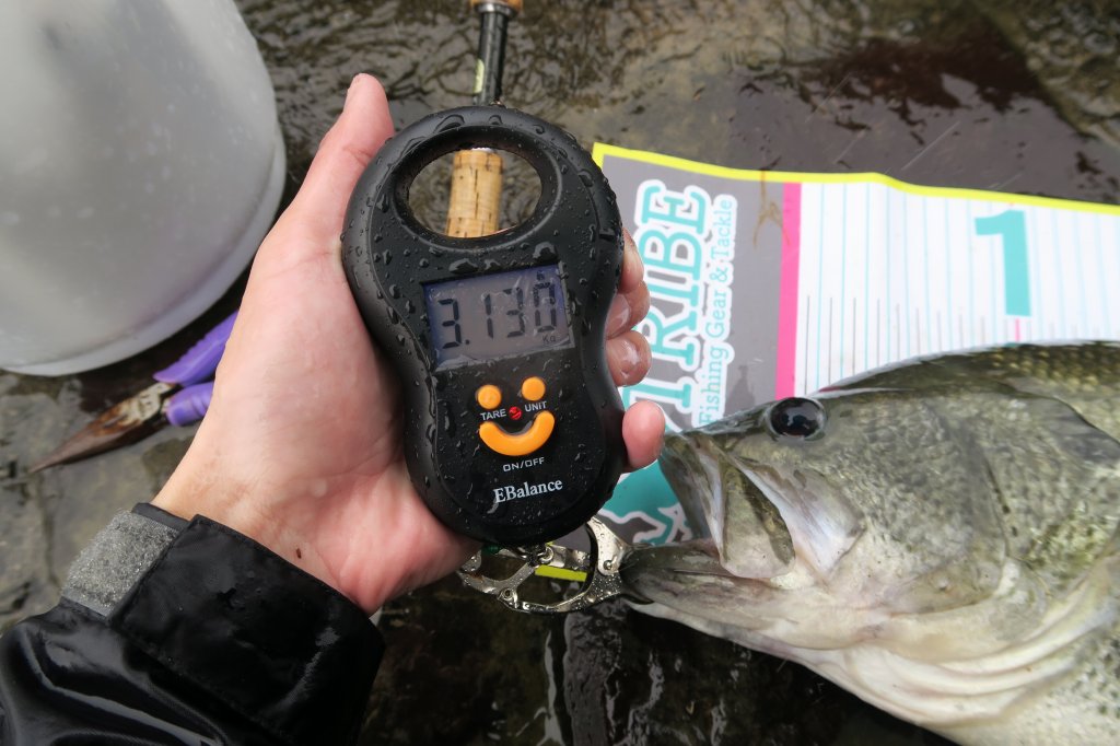 デジタルスケール