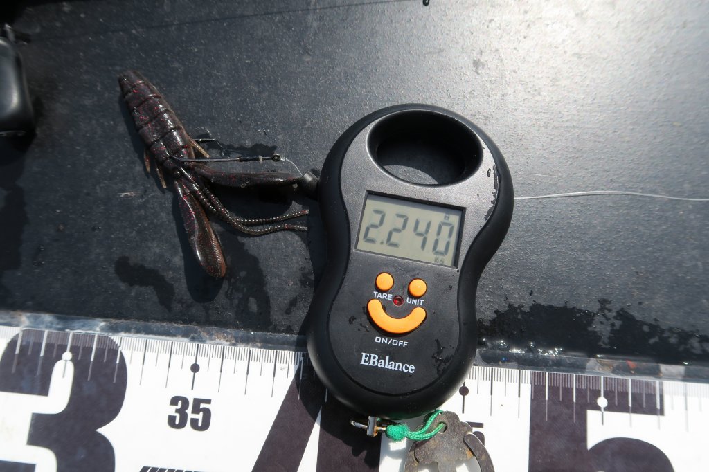 デジタルスケール