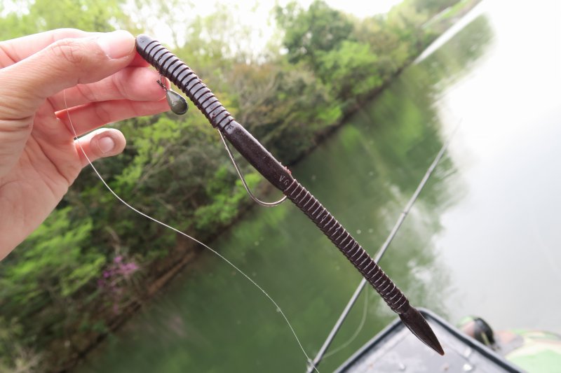 ボウワーム8インチ（高浮力）