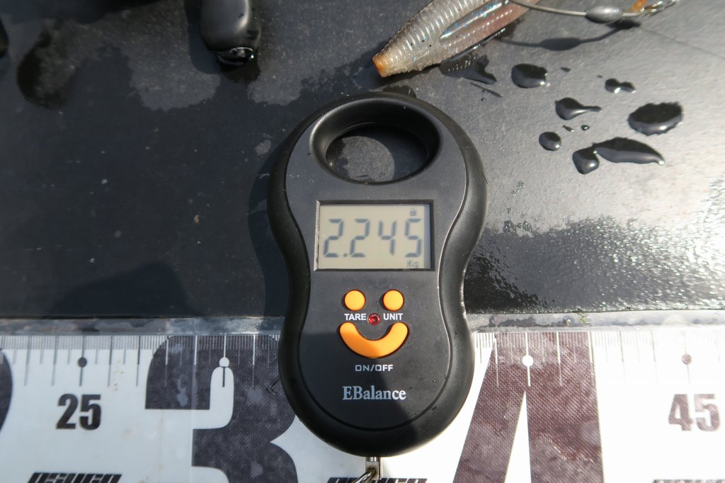 デジタルスケール