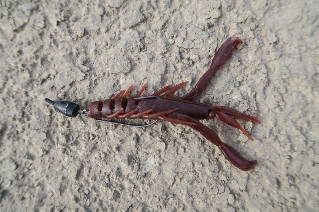 ハリーシュリンプ