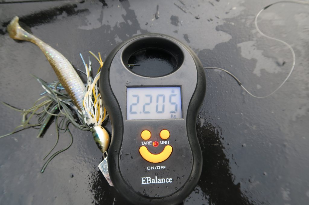 デジタルスケール