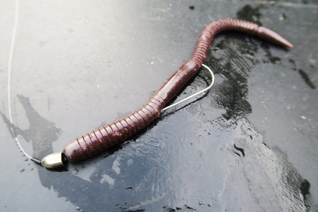 ボウワーム8インチ