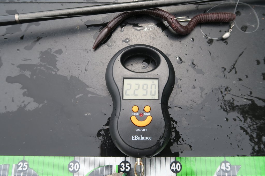 デジタルスケール